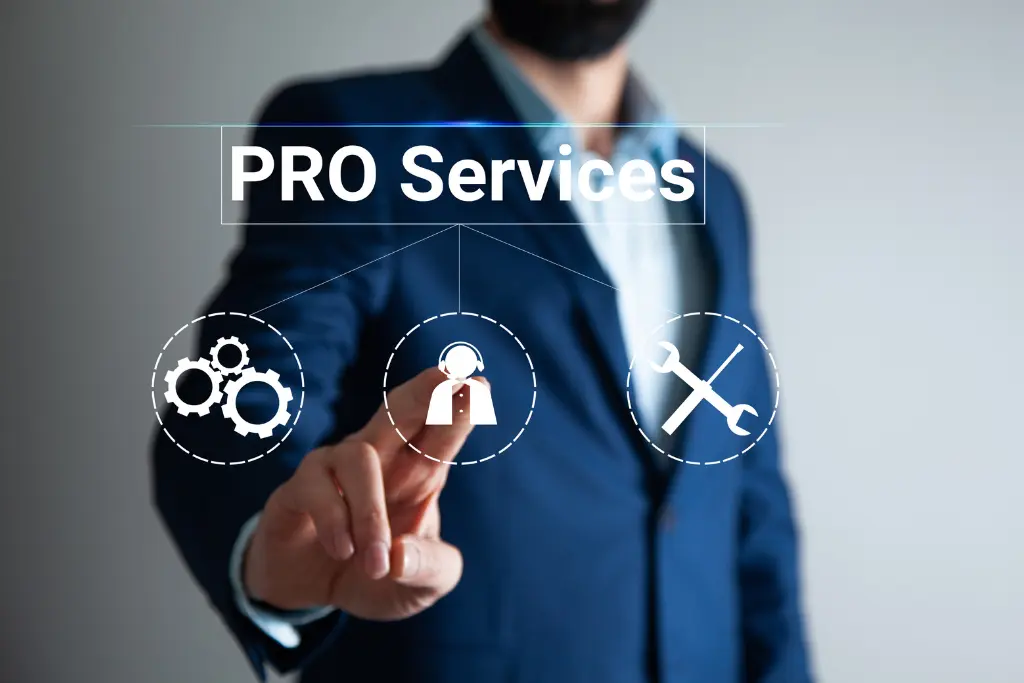 Business Pro Services